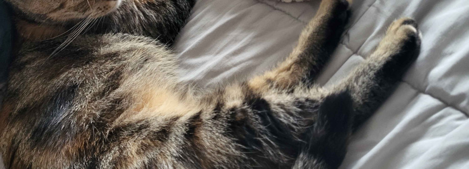 Nova Skinner Cover Image